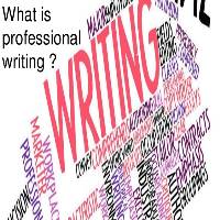 Professional Writing Service